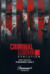 Criminal Minds - Season 6