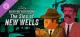 Golden Idol Investigations: The Sins of New Wells
