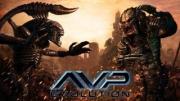 AVP Evolution