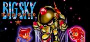 Big Sky Trooper