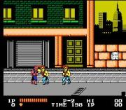 Double Dragon (NES)