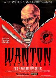 Shadow Warrior Wanton Destruction