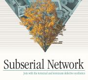 Subserial Network