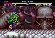 Teenage Mutant Ninja Turtles: Tournament Fighters (Genesis)