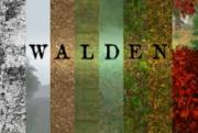 Walden, a game