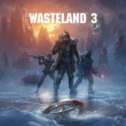 Wasteland 3