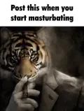 zaeba